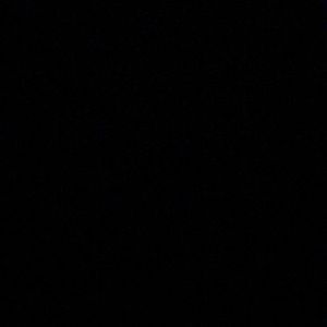 Meet your Posher, Cortney